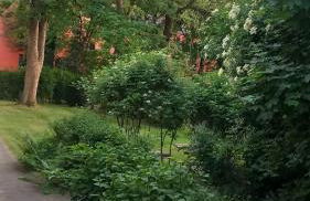 City Apartment 1#Netflix &Wlan &Kingsize Bett &Kaffee Maschine & Zentral & 500m Innenhafen & 2 min U Bahn - Photo 4