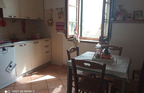 Le rose e i violini - Photo 9