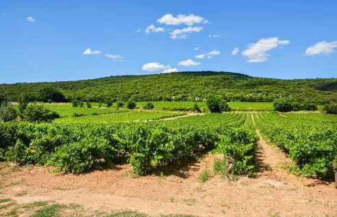 Pet Friendly Home In Uzès - Foto 38