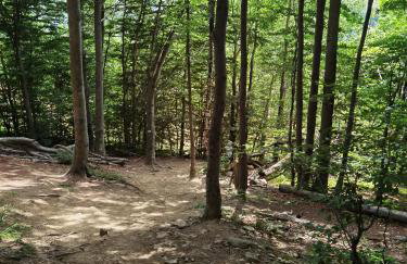 Akacja Apartament - Foto 25