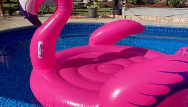 Very Private 3 Bed Home with HEATED Pool Palms and Big Fenced Yard - Foto 1