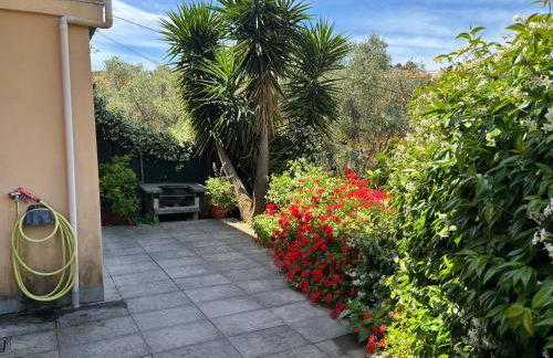 Niccolo I - Photo 18