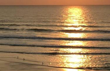 La Maison des Jardins - Photo 14