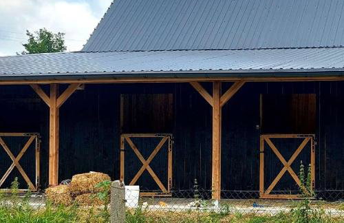 Happy Horse Sosnowa Góra - Foto 17