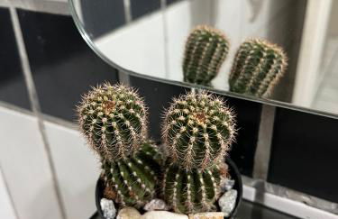 Apartamento amplo, perto de tudo - Foto 18