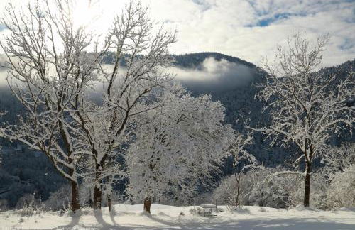 Au Coeur de Prémanon - Foto 32