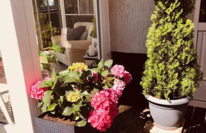 Willa Wicko - Międzyzdroje - apartamenty z aneksem - widok na Zalew Szczeciński - Foto 67