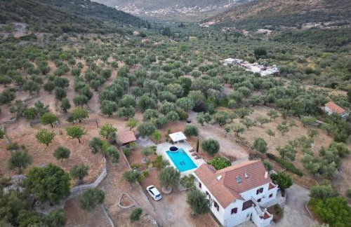 Pandora Villa - Foto 47