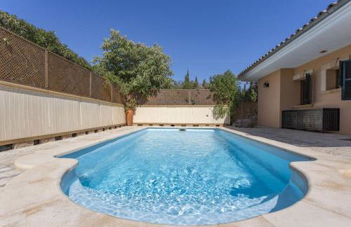 Cantarellas - Foto 2