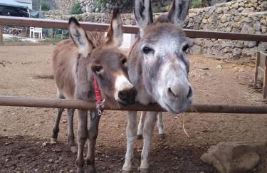 LA TAGORA Conect with the nature & relax - Foto 40