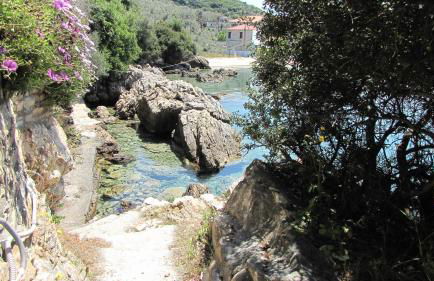 Notus Villa - Foto 12