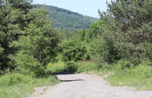 Scenic Mountain Lodge - Foto 55