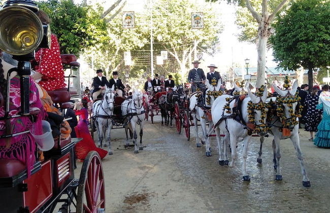 Villa Malyma Zahora - Beach Front Sea View - Foto 38