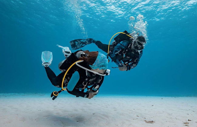 Scuba Diving in Cozumel - Photo 5