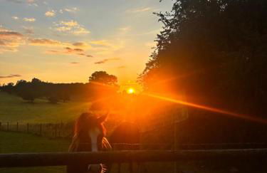 Apartment 2BR-free private parking-quick access to train into London-Wembley-Heathrow - Photo 27