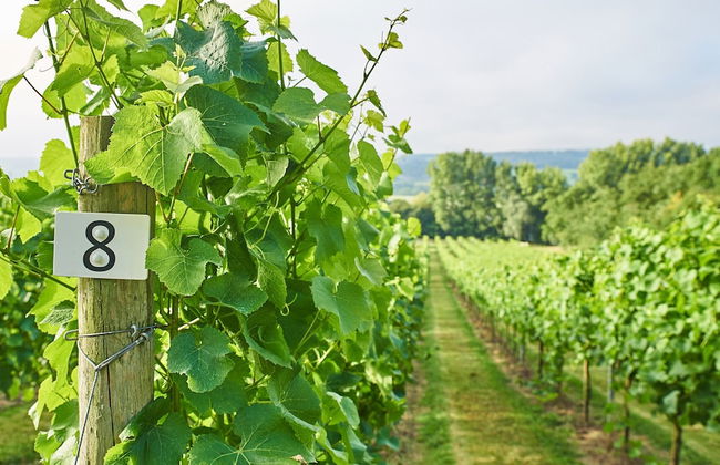 Aldwick Estate - Foto 16