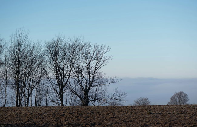 Comfort Near Oberwiesenthal - Foto 29