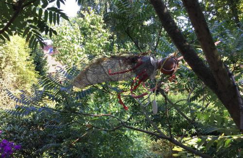 FeWo Spitzweg, Garlstorf - Lüneburger Heide - Foto 15