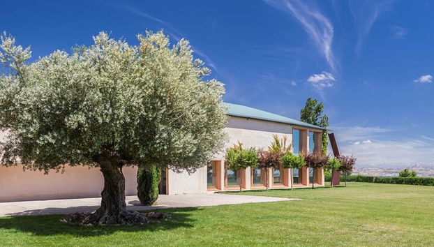 Oleotourism in Navarre. Visit and tasting of organic EVOO Artajo - Photo 3