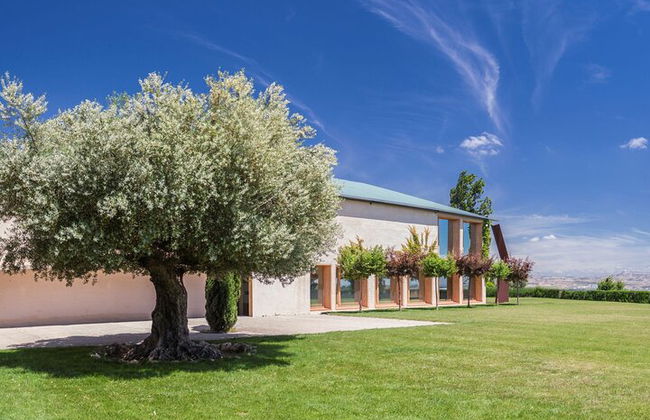 Oleotourism in Navarre. Visit and tasting of organic EVOO Artajo - Photo 3