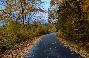 Brzozowa Osada - Foto 52