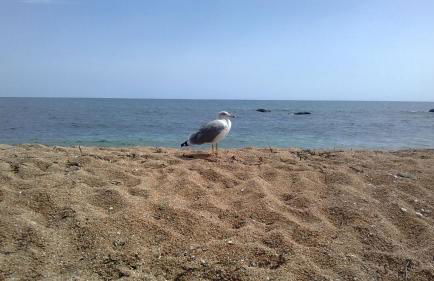 Luna e Mare - Foto 69