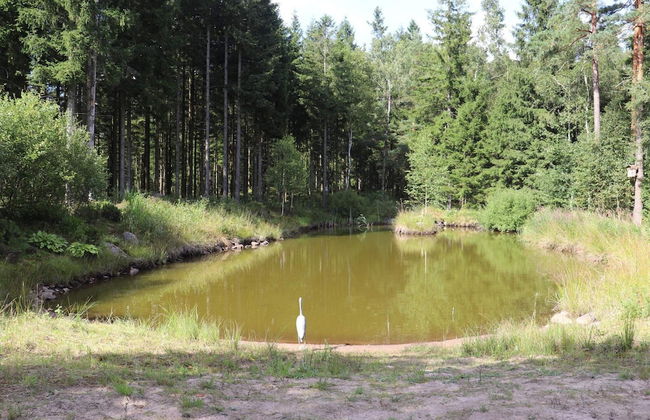 6 Person Holiday Home in Simlangsdalen - Foto 23