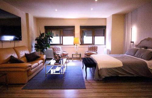 GOYA Loft de Categoría Nuevo - Photo 7