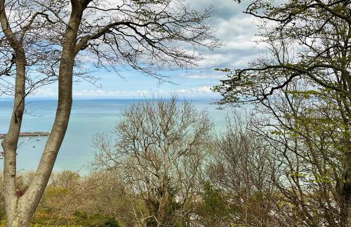 Bron-Yr-Aur - Uk49616 - Photo 24