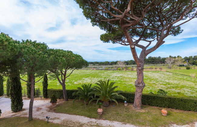 Podere Tre Termini - Foto 33