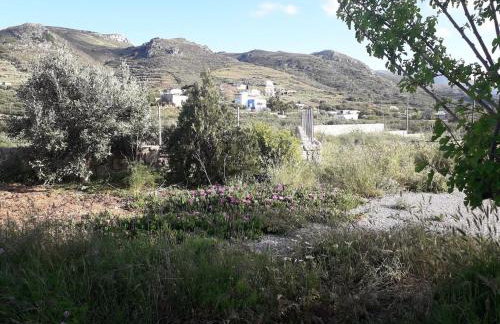 Cozy secluded studio with panoramic view - Foto 13