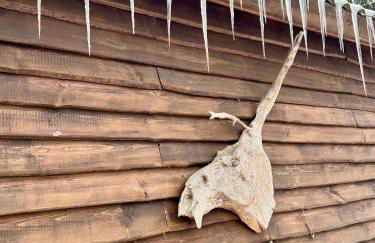 Holzhaus Waldwichtel am Wald und See - Photo 23