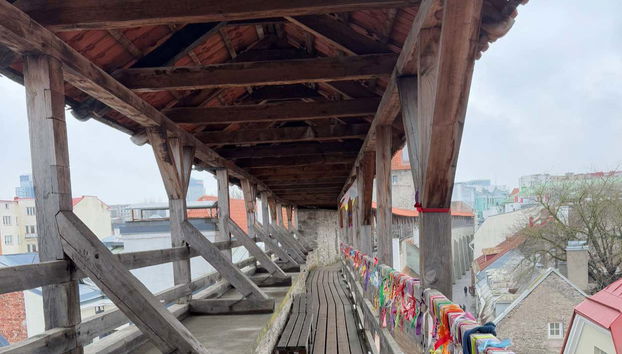 See the best of Tallinn?