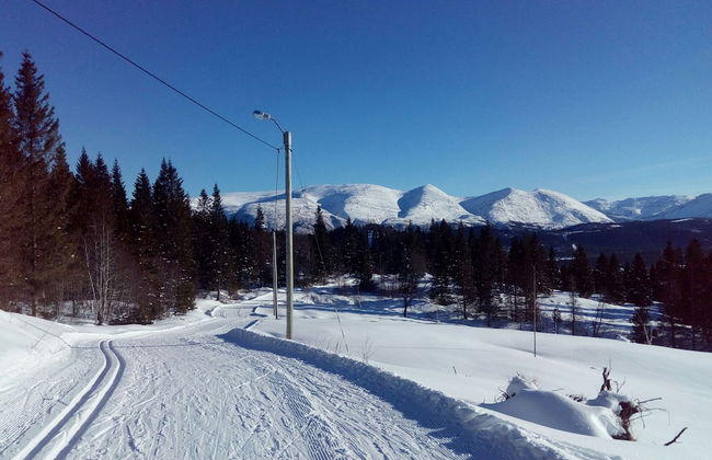 Velfjord camping & hytter - Foto 57