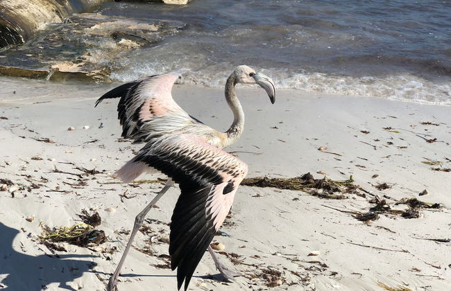 Villas Akamay - Foto 67