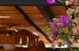 Mas Salvador Rural Experience - Photo 7