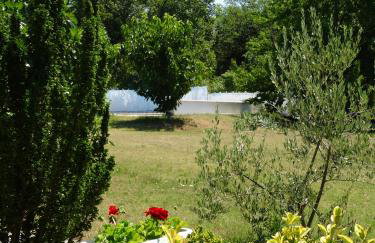 Apartments Gorančica - Foto 55