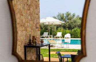 Gallo Fino - Foto 63