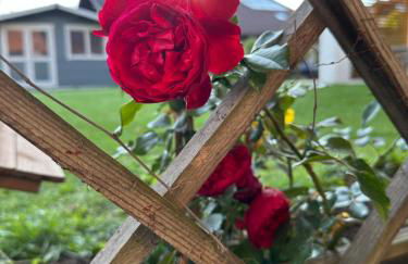 Fewo Susi Allgäu - Foto 10