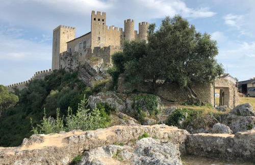 Casa Botanica - Foto 51