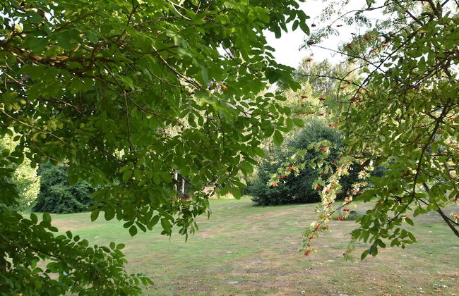 Tranquil Garden Apartment - Photo 31