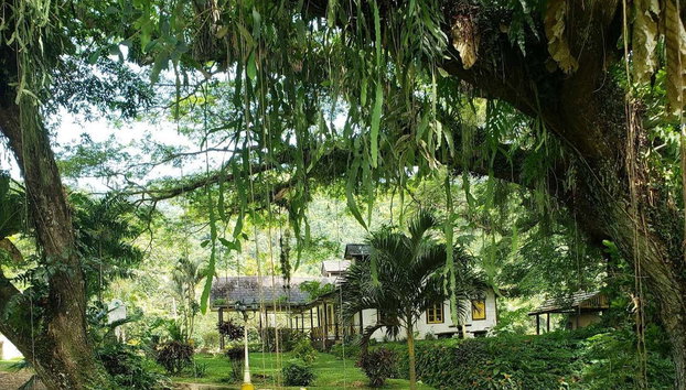 Lopinot Day Trip - Photo 2, Lopinot's lush vegetation