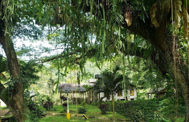 Excursion à Lopinot - Photo 1
