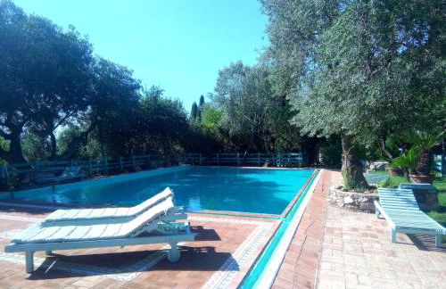 Deliziosa casa sull albero a 30 minuti da Roma - Foto 28