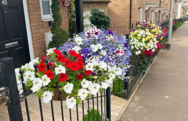 Driver Way - Photo 31