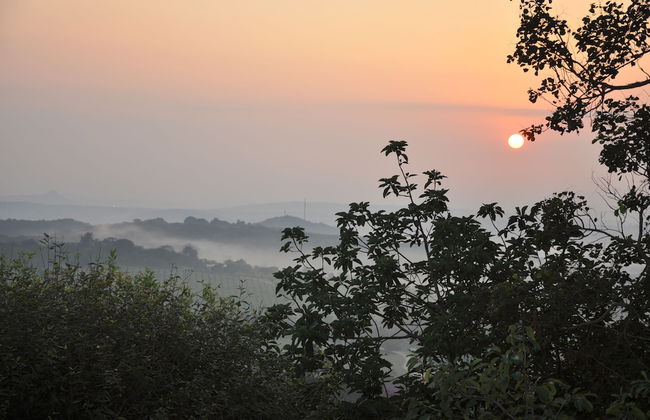 Impala Niezel Lodge - Foto 2