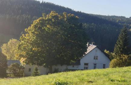 Ferienwohnung am Kammweg - Foto 28