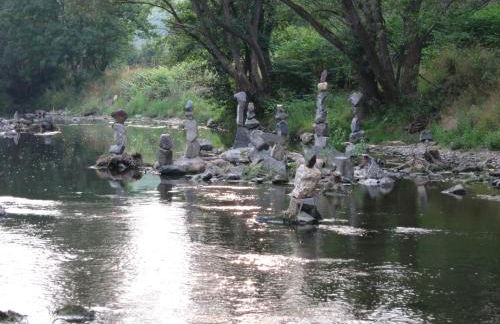 Wildgarten - Foto 19