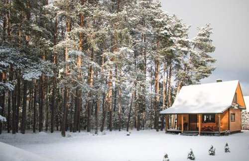 Leśna 21 Dom Południe przy PUSZCZA BIAŁOWIESKA - Foto 60