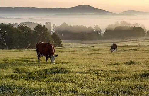 3 Bedroom Awesome Apartment In Klucze - Foto 20